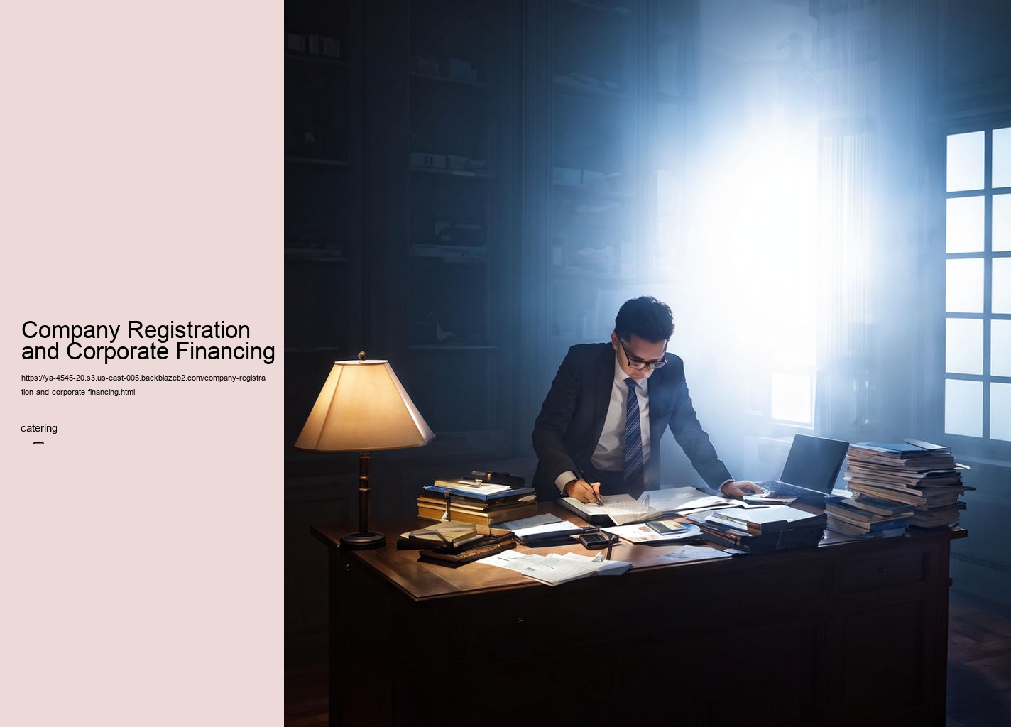 Company Registration and Corporate Financing